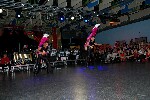 2005 11 12 fous swing 079